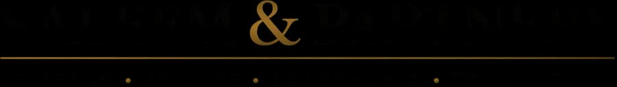 Saleem & Partners — Strategy · Finance · Governance · Transactions